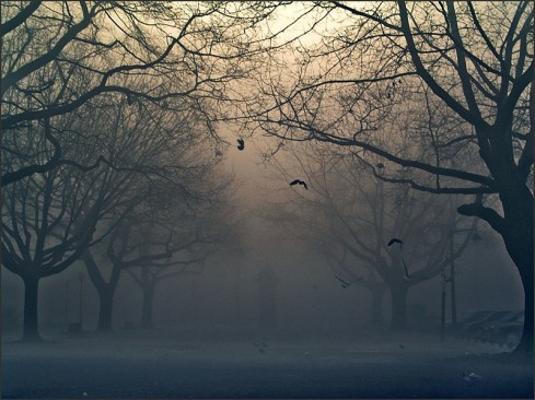 Fog Chrismatos Flickr
